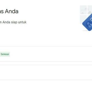 Adsense Pin Domain Com